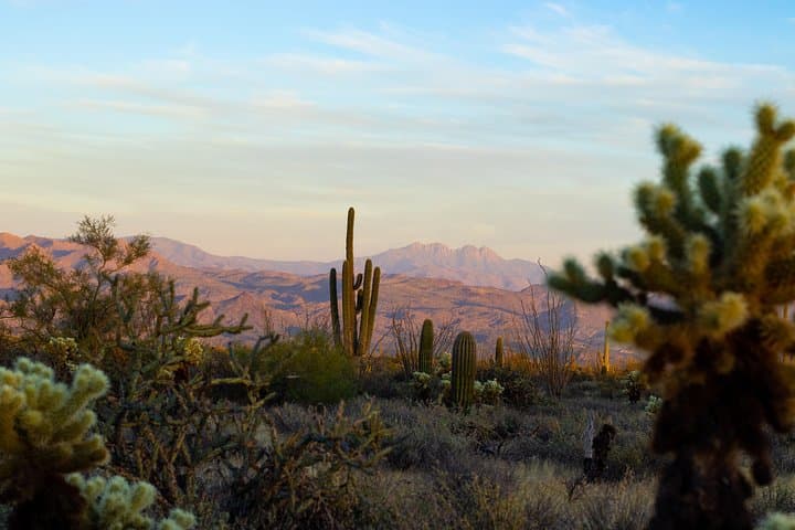 Sunset Sonoran Jeep Jeep Tour: Off-Road Tonto National Forest Adventure photo 3