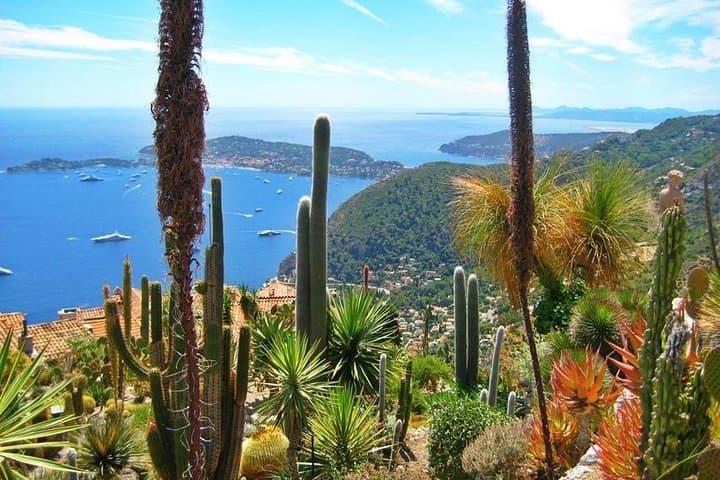 Half-Day Eze, Monaco & Monte Carlo Excursion from Nice photo 2