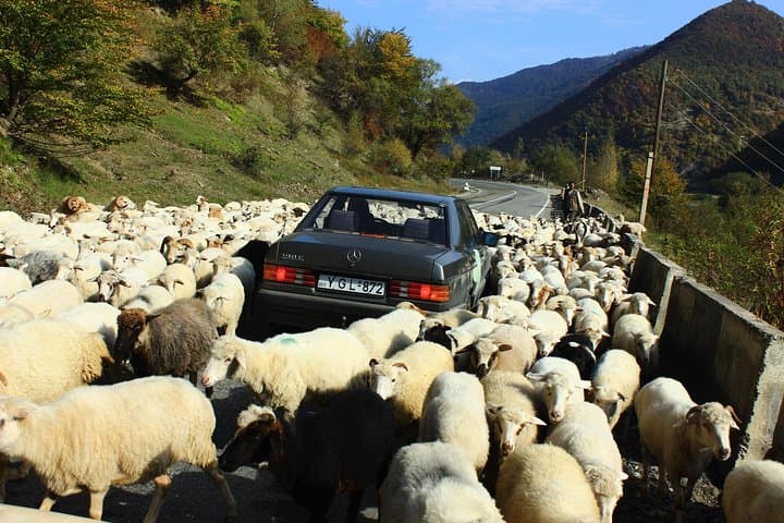 7-Day Georgia Highlights: Tbilisi, Kakheti, Stepantsminda & Kutaisi photo 4