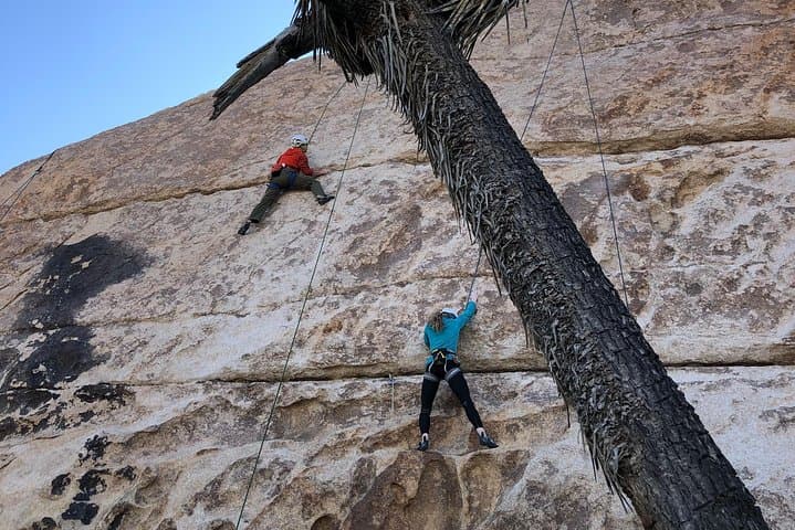 Experience Beginner Rock Climbing Adventures in Joshua Tree National Park
