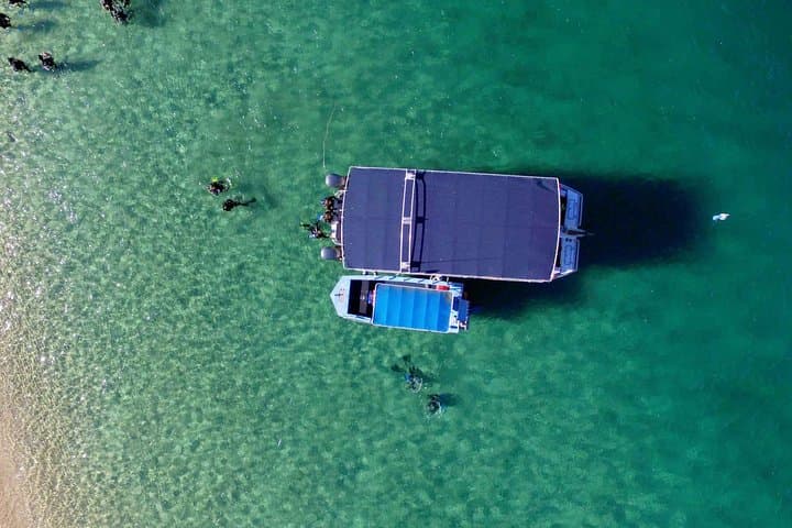 Wave Break Island Scuba Diving: Intro Dives & Fish Feeding on the Gold Coast photo 4