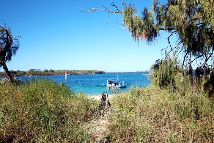 Wave Break Island Scuba Diving: Intro Dives & Fish Feeding on the Gold Coast photo 6