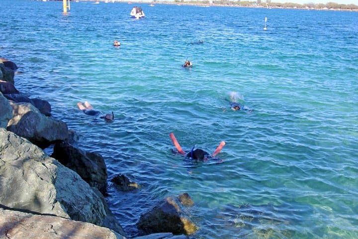 Wave Break Island Snorkel Tour — Calm-Water Fish Feeding on the Gold Coast photo 2