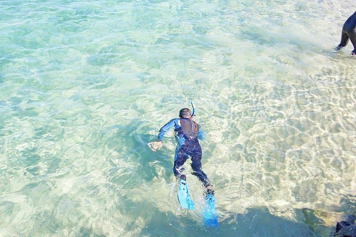 Wave Break Island Snorkel Tour — Calm-Water Fish Feeding on the Gold Coast
