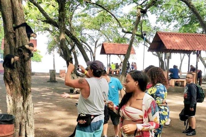 Jaco Highlights Tour: Carara Rainforest, Tarcoles River Cruise & Beachfront Lunch photo 2