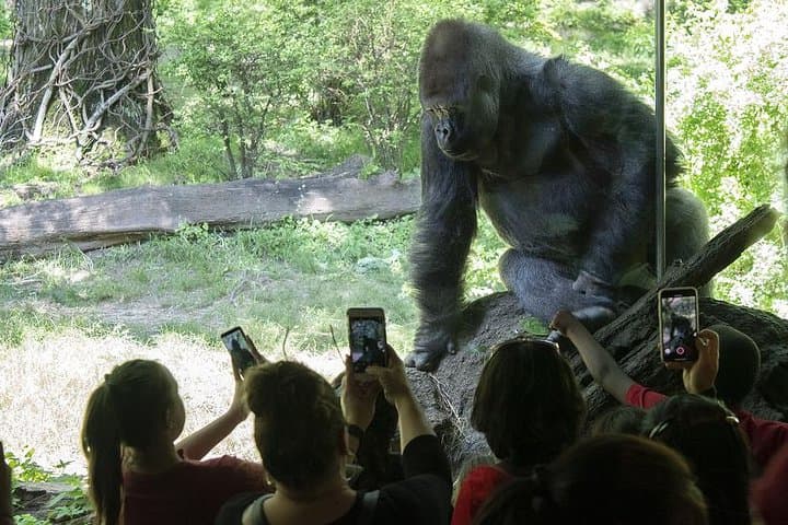 Bronx Zoo Admission: Practical Guide to Visiting New York City's Wildlife Landmark photo 4