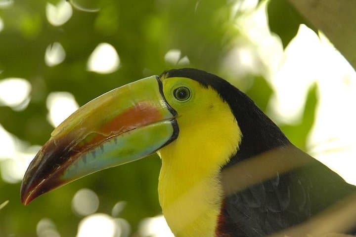 Central Park Zoo Tickets & 4D Theater: What to Know Before You Go photo 5