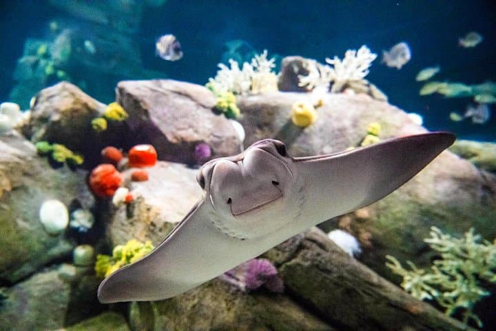 New York Aquarium Admission: Coney Island Tickets & Visitor Guide photo 3