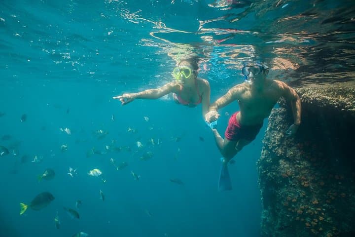Land's End & Glass-Bottom Snorkel Tour — Pelican's Rock and Lover's Beach, Cabo San Lucas photo 2