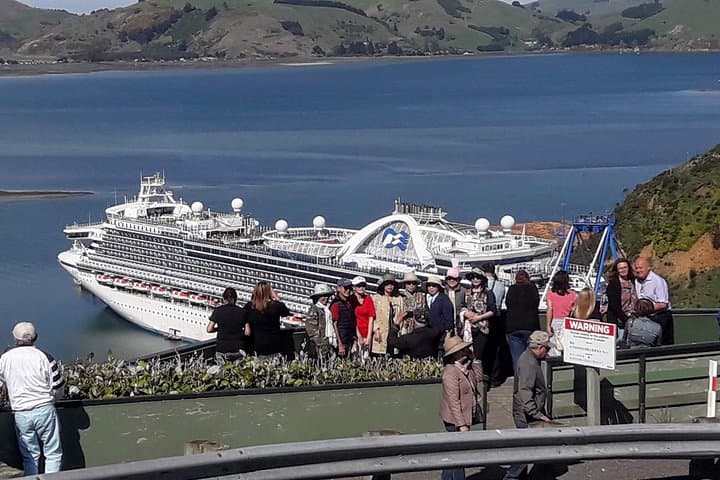 Dunedin Nature & City Tour — Full-Day Cruise Excursion to Otago Peninsula & Larnach Castle photo 1