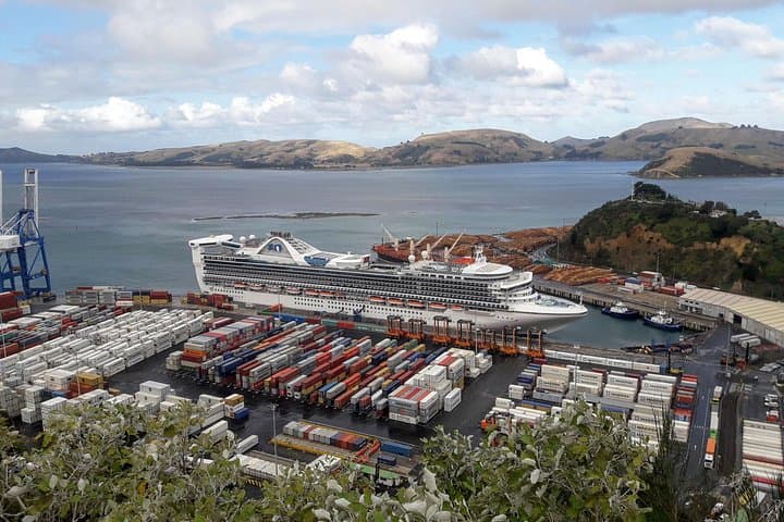 Dunedin Nature & City Tour — Full-Day Cruise Excursion to Otago Peninsula & Larnach Castle photo 2