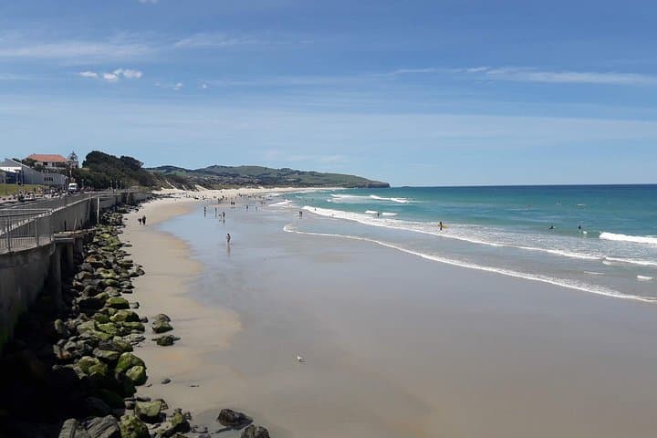 Dunedin Nature & City Tour — Full-Day Cruise Excursion to Otago Peninsula & Larnach Castle photo 3