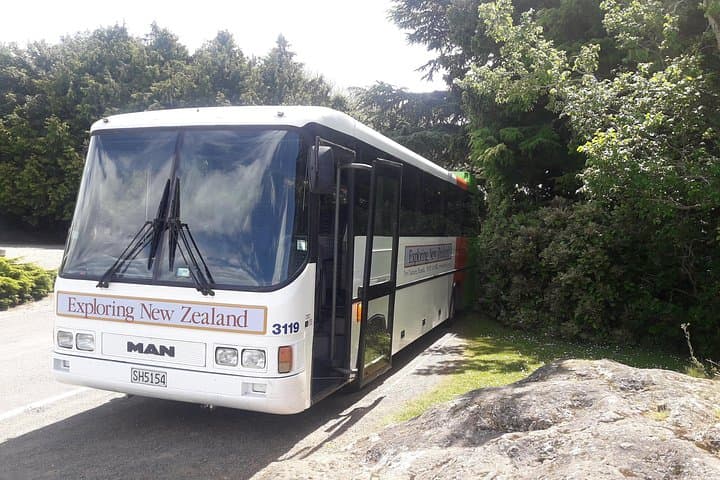 Dunedin Nature & City Tour — Full-Day Cruise Excursion to Otago Peninsula & Larnach Castle photo 4