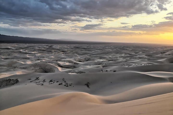 Majestic Gobi Desert Adventure: Khongor Dunes, Flaming Cliffs & Chinggis Khan photo 4