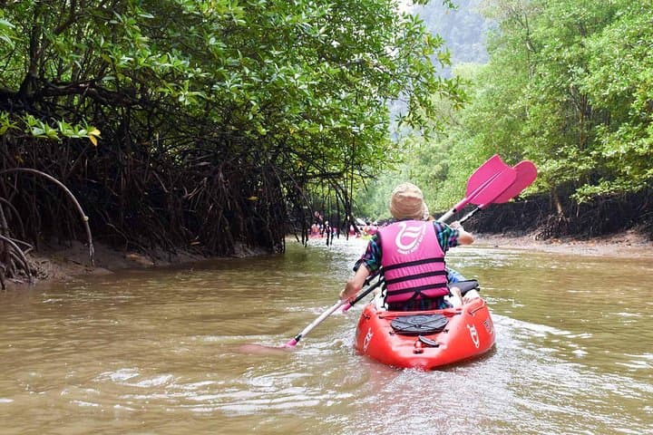 Ban Bor Thor Full-Day Kayak Tour from Krabi — Mangroves, Caves & Lunch photo 6
