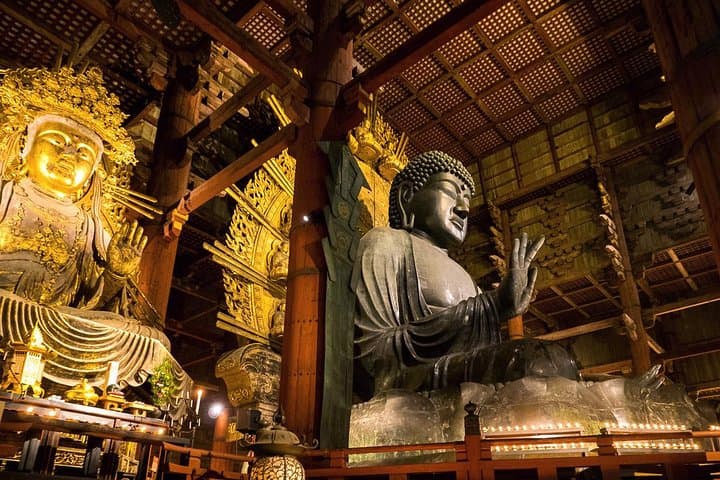 Half-Day Private Nara Tour with Licensed Guide: Todaiji, Kasuga & Deer Park photo 2