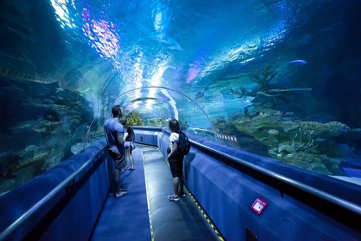 Pattaya Underwater World Aquarium Tickets — 100m Tunnel, Touch Pool & Marine Zones
