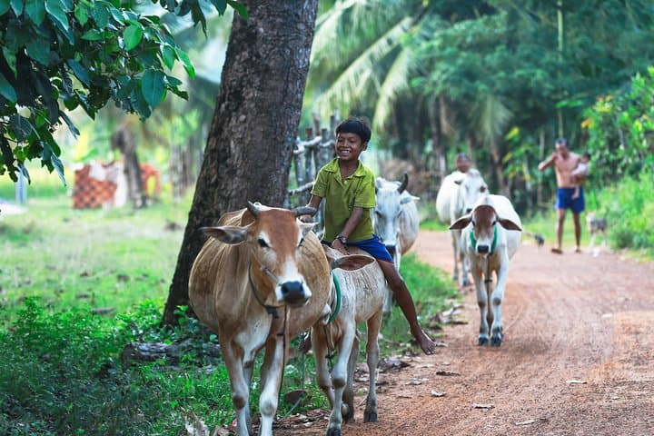 Siem Reap Village Homestay: 2-Day Lifestyle Tour with Tree Planting & Ox-Cart Rides