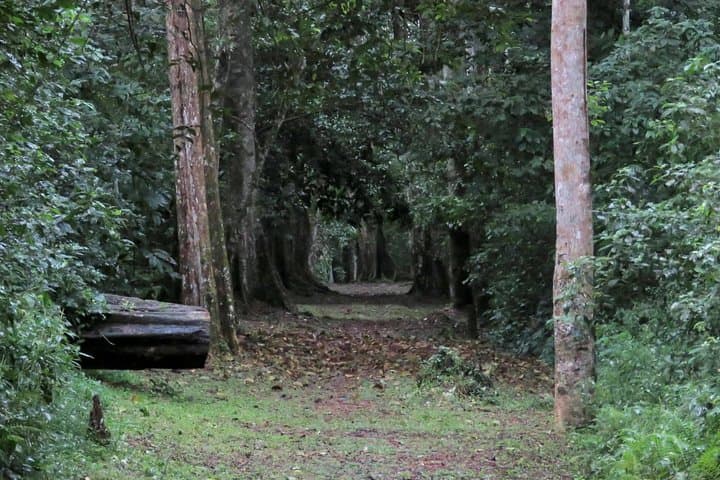 Entebbe Botanical Gardens Birding: Full-Day Lake Victoria Bird Watching Tour