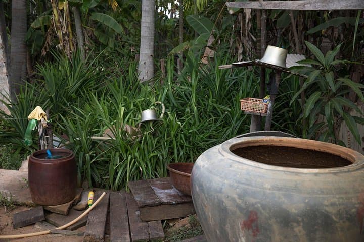 Siem Reap Village Homestay: 2-Day Lifestyle Tour with Tree Planting & Ox-Cart Rides photo 4