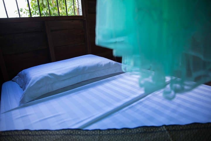 Siem Reap Village Homestay: 2-Day Lifestyle Tour with Tree Planting & Ox-Cart Rides photo 5