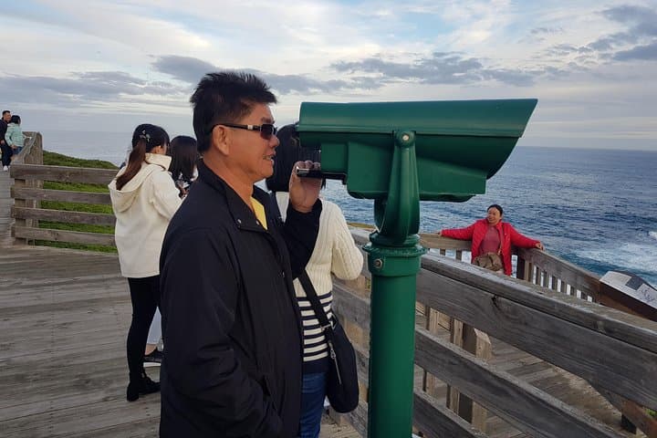 Private Phillip Island Wildlife & Penguin Parade Experience photo 3