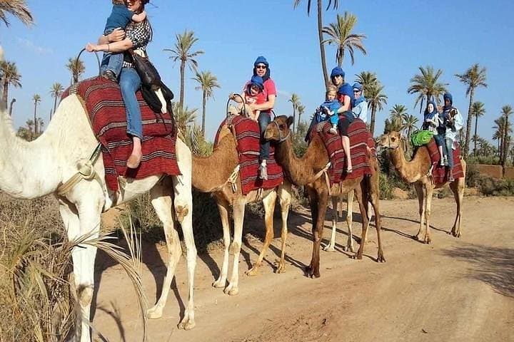 Private 1-Hour Camel Ride in Marrakech Palmeraie — Tea Break & Photo Stops