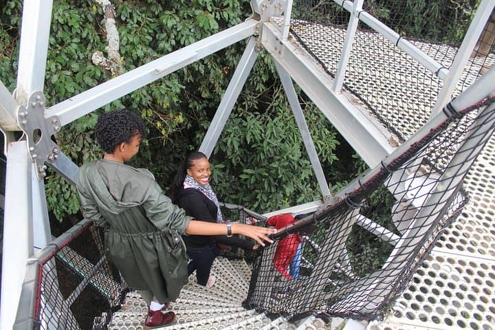 Nyungwe Canopy Walkway: 1-Day Canopy Walk and Forest Tour in Rwanda photo 4