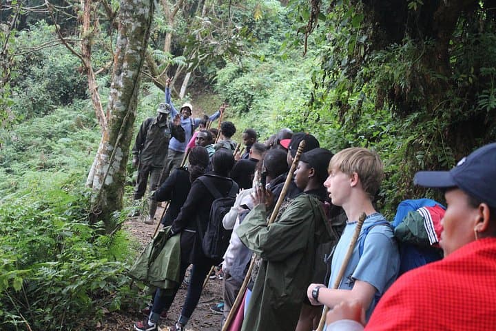 Nyungwe Canopy Walkway: 1-Day Canopy Walk and Forest Tour in Rwanda photo 6