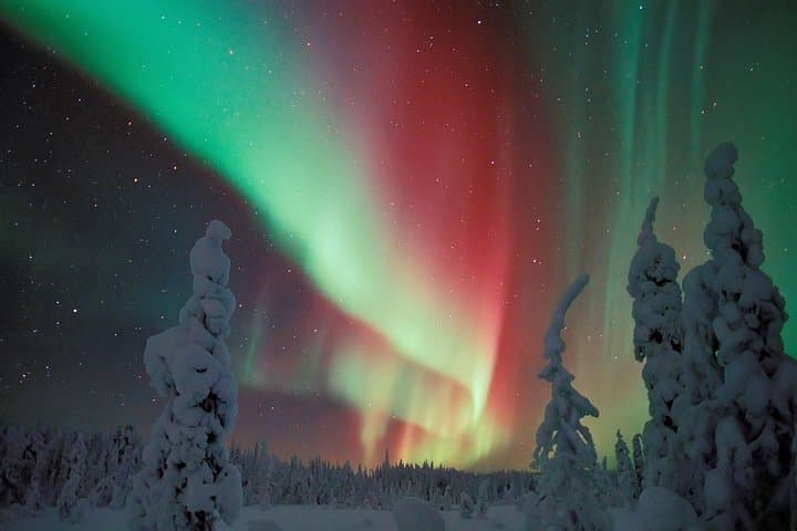 Northern Lights Snowmobile Safari in Rovaniemi — Campfire Picnic & Night Ride photo 4