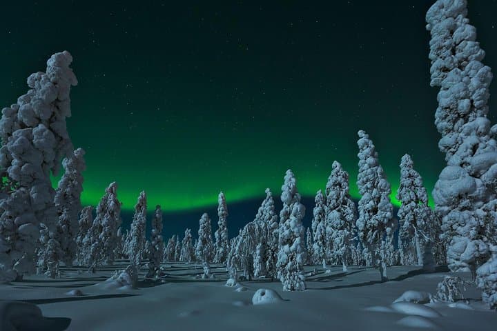 Northern Lights Snowmobile Safari in Rovaniemi — Campfire Picnic & Night Ride photo 5