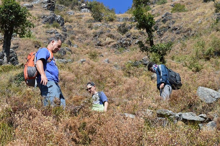 Top Tibba Day Hike and Dhanaulti Visit: Himalayan Panorama Near Mussoorie photo 4