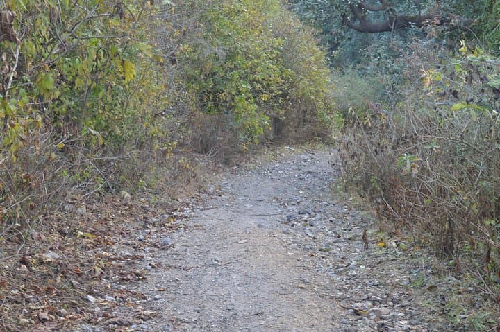 Jharipani Waterfall Hike: Half-Day Picnic and Swim Near Mussoorie photo 2