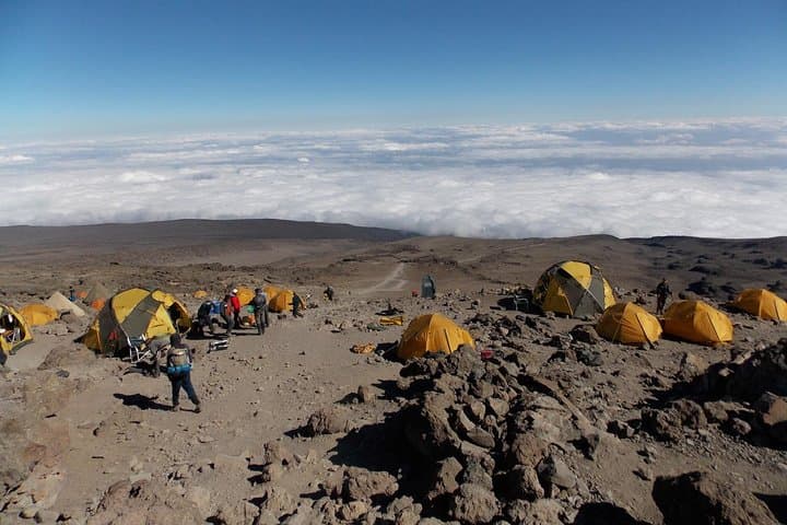 Summit Kilimanjaro via the Machame Route: 8-Day Guided Ascent to Uhuru Peak photo 6