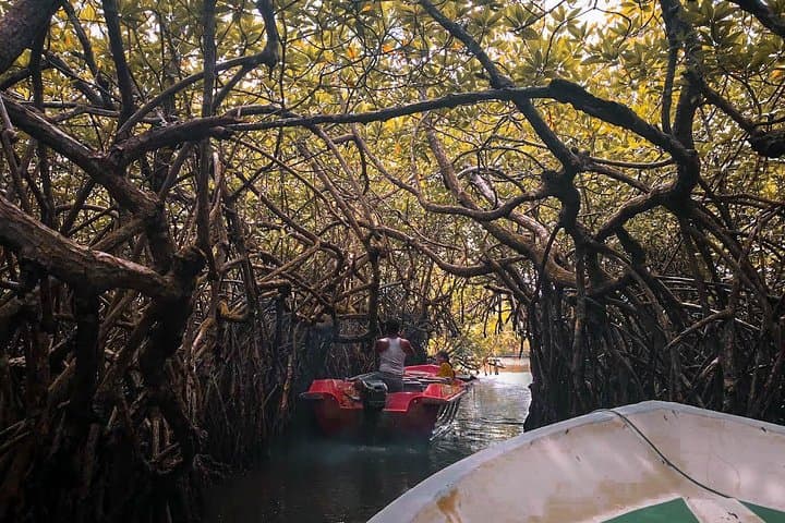 Small Miracle: 15-Day Sri Lanka Circuit from Cultural Triangle to Southern Beaches photo 2