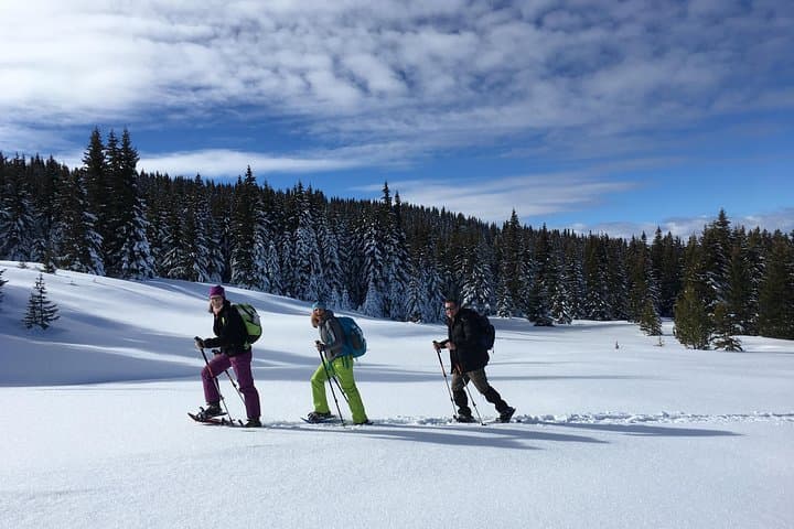 Snowshoeing Vitosha: Full-Day Winter Loop from Sofia