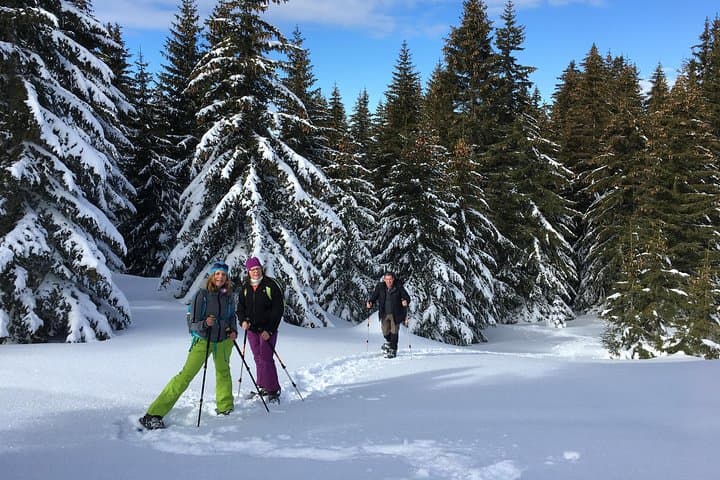 Snowshoeing Vitosha: Full-Day Winter Loop from Sofia photo 2