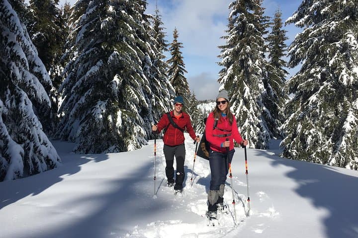 Snowshoeing Vitosha: Full-Day Winter Loop from Sofia photo 3