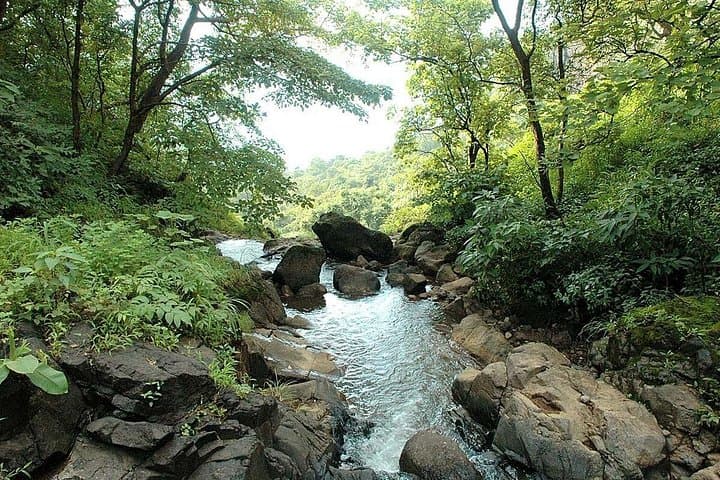 Overnight AC Tent Adventure in Durshet: Zipline, Burma Bridge & Forest Lodge Escape photo 2