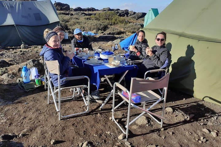 Climb Mount Kilimanjaro: Rongai Route 7-Day Trek from Moshi photo 6
