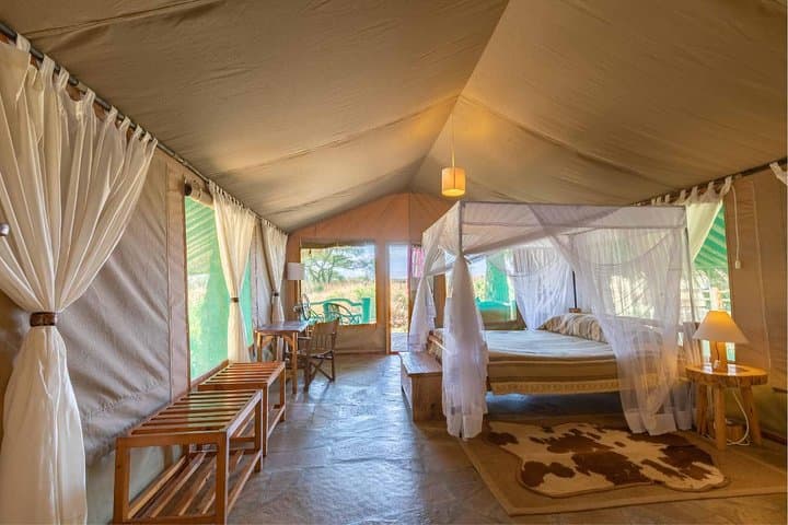 6-Day Amboseli to Tsavo Safari: Mt. Kilimanjaro, Red Elephants & Mzima Springs photo 5