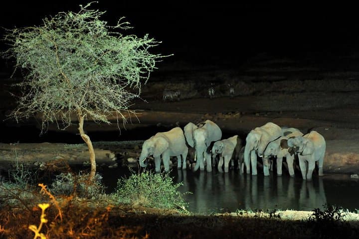 6-Day Amboseli to Tsavo Safari: Mt. Kilimanjaro, Red Elephants & Mzima Springs photo 6