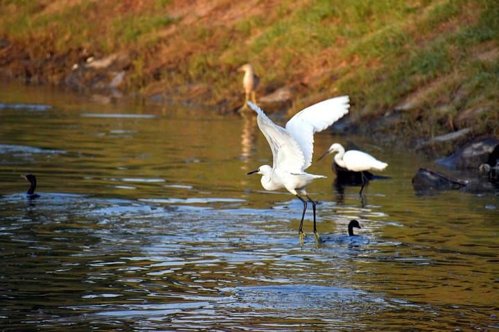 Bharatpur Keoladeo Bird Sanctuary Day Trip from Delhi — Private Guided Excursion photo 2
