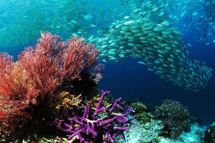 Sharm El Naga Full-Day Snorkeling from Hurghada — Coral Reefs & Quiet Bays photo 4