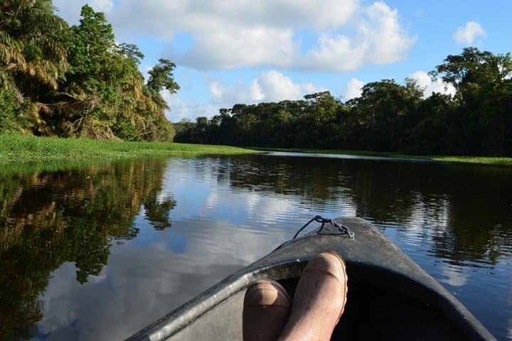 3-Day Tortuguero Expedition: Canoes, Canals & Turtle Tours photo 5