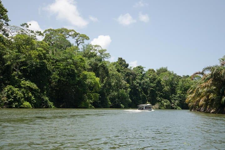 3-Day Tortuguero Expedition: Canoes, Canals & Turtle Tours photo 3