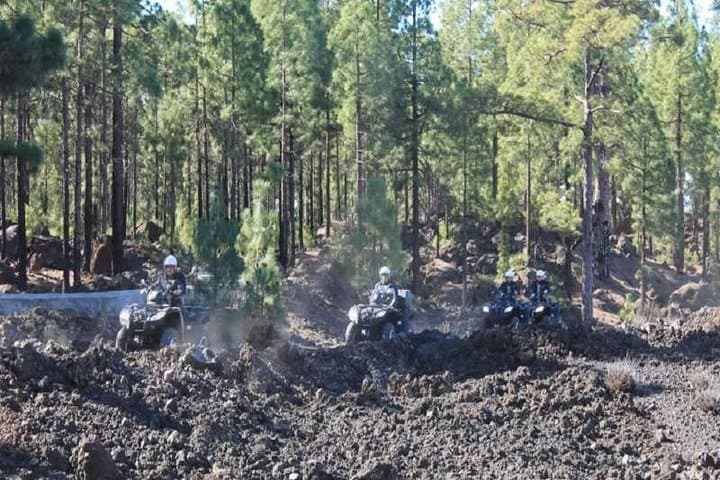 Teide Forest Quad Safari from Santiago del Teide photo 5