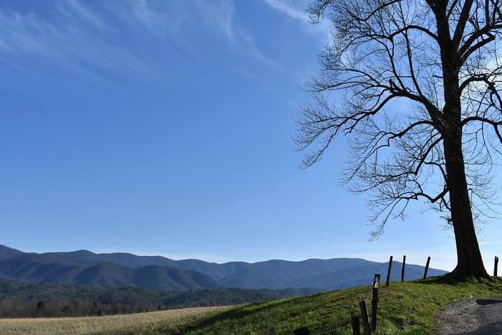 Cades Cove Sightseeing Bus Tour from Pigeon Forge – Historic Loop in the Great Smoky Mountains photo 5