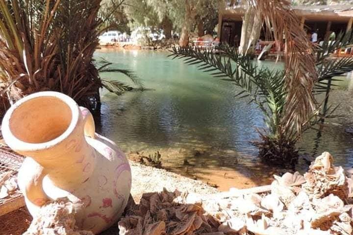 Ksar Ghilane Day Trip from Djerba — Hot Springs, Oases & Berber Encounters photo 5
