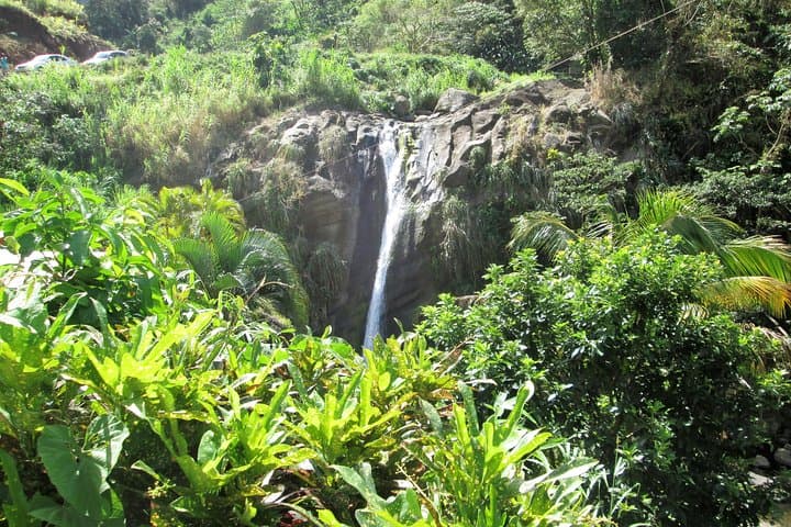 Half-Day Grenada Sunshine Highlights Tour: Concord Falls, Nutmeg & Chocolate
